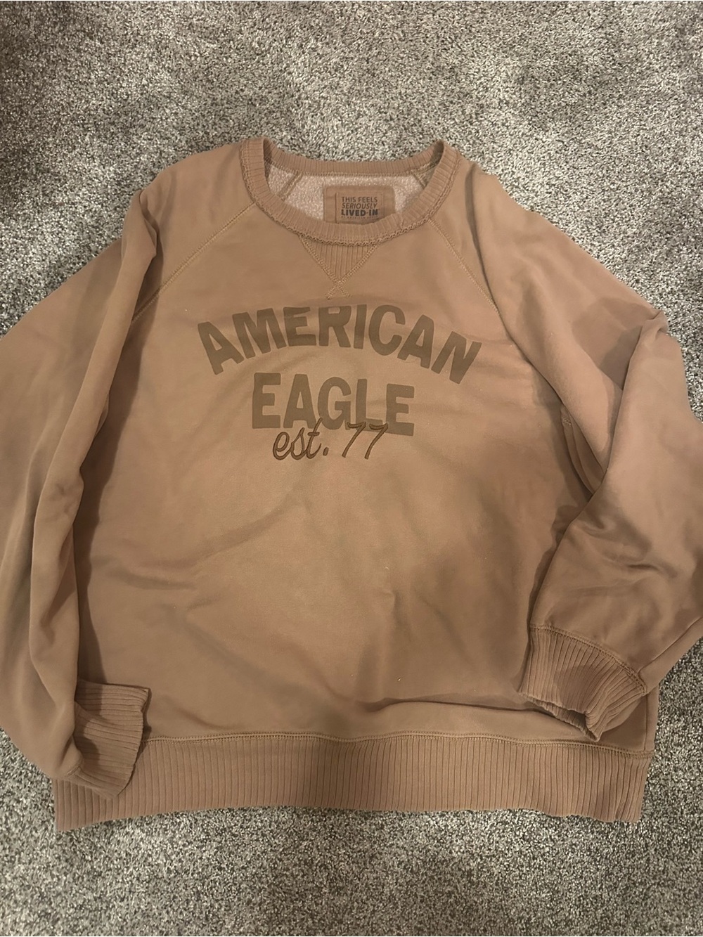 American Eagle Outfitters Tan Logo Crew Sweatshirt